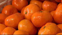 В Сибирь привезли в 1,5 раза больше мандаринов по сравнению с прошлым годом