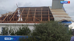 По Волчихе и Шипуново прошёлся ураган