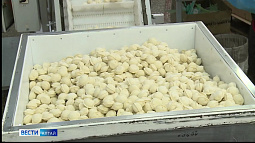 Бийская компания оценила эффект от участия в нацпроекте «Производительность труда»