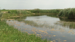 Уникальной системе Бурлинских озёр грозит экологическое бедствие из-за бездействия арендатора