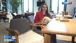 В Барнауле становится всё больше заведений, куда пускают с животными