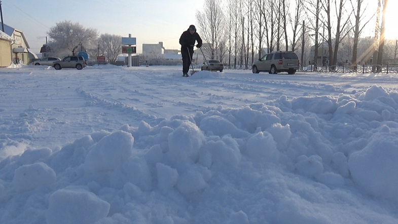 Природа взяла своё: в Кулунде впервые за зиму выпало много снега