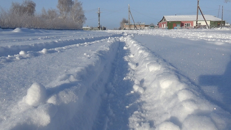 Природа взяла своё: в Кулунде впервые за зиму выпало много снега