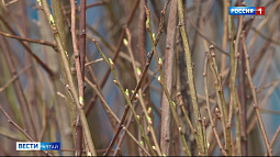 Циклон с холодным фронтом 9 апреля ушёл на северо-восток