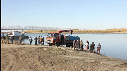 В протоки реки Оби выпускают мальков
