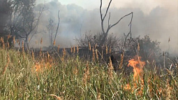 С приходом жары в крае стали чаще происходить ландшафтные пожары