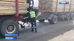 Алтайские пограничники пресекли контрабанду лесоматериалов