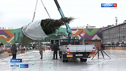 Барнаульские катки: что нового?