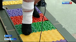 Единственному в крае отделению травматологии и ортопедии, где лечат гнойно-септические осложнения, – год