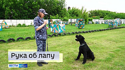 Завтра на Алтае профессиональный праздник отметят те, кому собака не только лучший друг, но и боевой товарищ