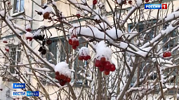 В Алтайский край ненадолго пришла зима