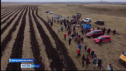 На въезде в райцентр Шипуново скоро появится «Лес будущего»