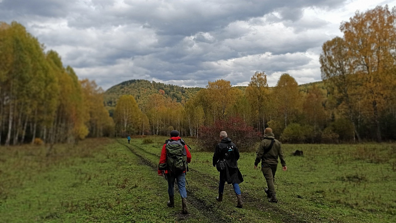 В Алтайском крае туристы смогут увидеть, как «текут» каменные реки