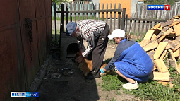 «Вести» выяснили, что вакцины от бешенства в Алтайском крае сейчас достаточно