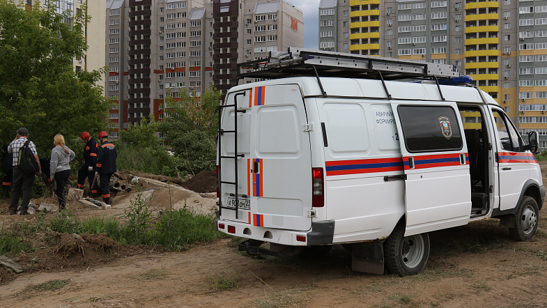 В Барнауле сотрудники МЧС спасли из бетонной западни четверых щенков