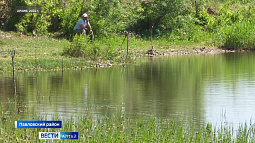 В Павловском районе, в селе Шахи, очистили и восстановили пруд