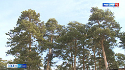 +24° C и без осадков: в Алтайский край пришло долгожданное потепление