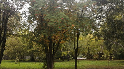 В Алтайском крае ухудшается погода