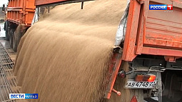 Импорт зерновой продукции Алтайского края втрое нарастила Республика Беларусь