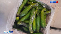 В барнаульском детсаду №273 прошла внеочередная проверка