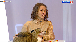 Российские кошки – самые лучшие кошки в мире, считает заводчик из Барнаула Анастасия Томас