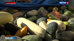 На барнаульском страусином ранчо примут от населения овощи в неограниченном количестве