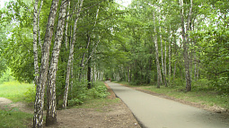 Более 1500 барнаульцев поделились мнением, каким должен быть парк имени Ленина