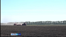 Алтайский край вышел на второе место в стране по страхованию посевов