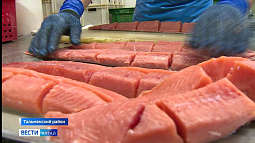 В Тальменском районе планируют разводить рыбу и увеличить производство рыбных деликатесов