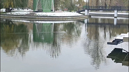 В пруду барнаульского парка «Изумрудный» поселилась ондатра