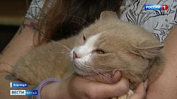 Сегодня станет известно, войдёт ли приют «Бусинка» в число победителей конкурса грантов