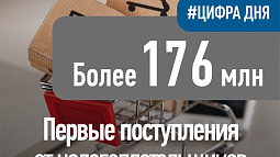 В Алтайском крае всё больше предпринимателей выбирают «автоупрощёнку»