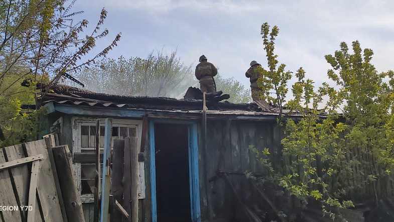 Сильный ветер бушует в некоторых районах Алтайского края