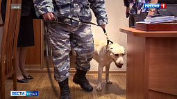 Сообщения о минировании поступили сразу в несколько школ Барнаула