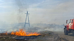 Более 300 пожаров потушили алтайские спасатели за минувшие выходные