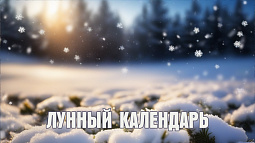 Лунный календарь на 23 декабря: день, в который нельзя бездельничать