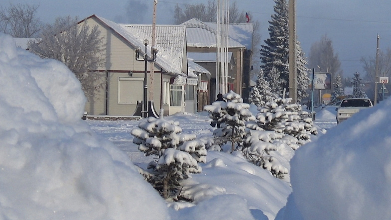 Природа взяла своё: в Кулунде впервые за зиму выпало много снега