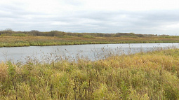 Кислухинский заказник готовится к зиме