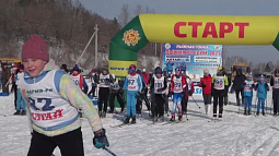 Сегодня в нагорной части Барнаула, на Широкой просеке, пройдёт традиционная «Лыжня России» 
