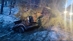 ДТП и пробки: снег в Алтайском крае стал большой проблемой для водителей