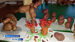 Необычная картофельная выставка открылась в Мамонтовском районе