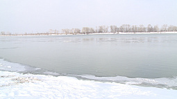 В Алтайском крае завершили зарыбление водоёмов в этом году