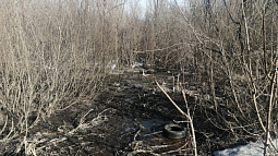  В Барнауле уберут незаконные свалки, очистят территории памятников и берега рек