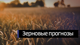 Участники зимней зерновой конференции дали прогнозы для аграриев