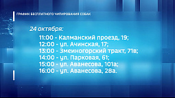 На выходных в нагорной части Барнаула можно будет бесплатно чипировать своего питомца