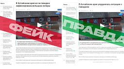 В интернете распространяют фейковую информацию о холере в Алтайском крае