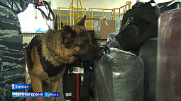 Сотрудники алтайской таможни отмечают сегодня профессиональный праздник