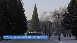 Каждый десятый барнаулец запланировал отпуск на конец года