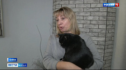 В Бийске живёт очень умный кот