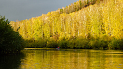 Какие проекты по экологическому просвещению действуют в регионах Сибири?
